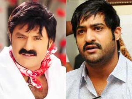 జూ ఎన్టీఆర్‌తో విభేదాల్లేవు, బాబుతో కలుస్తా: బాలకృష్ణ
