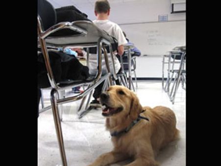 కుక్కపై ప్రేమతో ఆత్మహత్య, వేరుశనగ ఇరుక్కుని మృతి