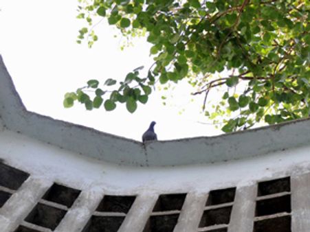 ఫ్లక్స్ కవిత 'మది'