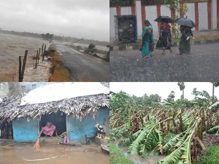 హెలెన్ తుఫాను: తడిసి ముద్ద, పంటలు నష్టం (పిక్చర్స్)