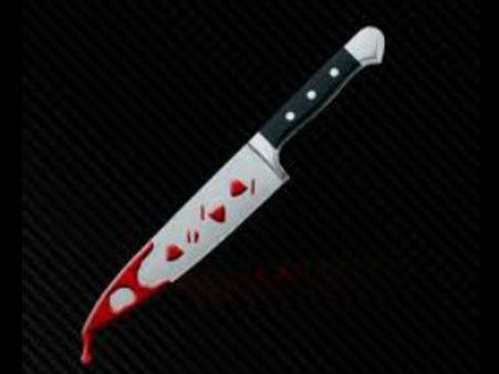 భార్యను చంపి కాల్చేసిన గే టెక్కీ