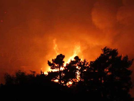 ప్రమాదం: ఒకే కుటుంబంలో 6 గురు, మృతులు వీరే...