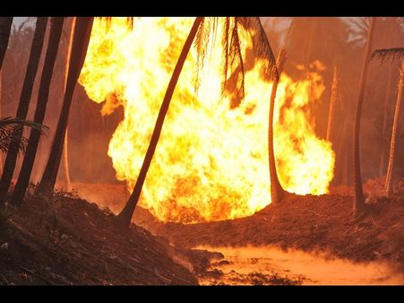 గెయిల్ ట్రాజెడీ: కాస్తా ఆలస్యమైతే ఘోరమే (పిక్చర్స్)