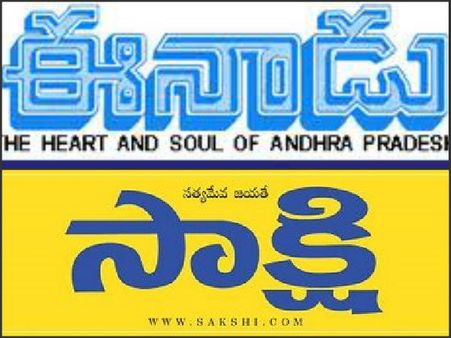 తెలుగు దినపత్రికల్లో భాష