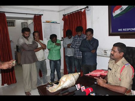  ఐదుగురి అరెస్టు: ఐదు కోట్ల శంఖం స్వాధీనం (పిక్చర్స్)