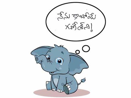 చింతపట్ల క్విక్‌బాక్సింగ్: ‘ది ఎలిఫెంట్ గాడ్’