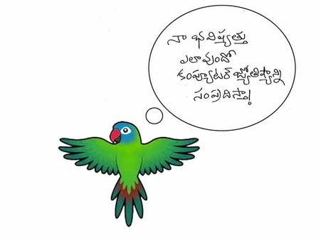 క్విక్‌బాక్సింగ్: చిలకా క్షేమమా?