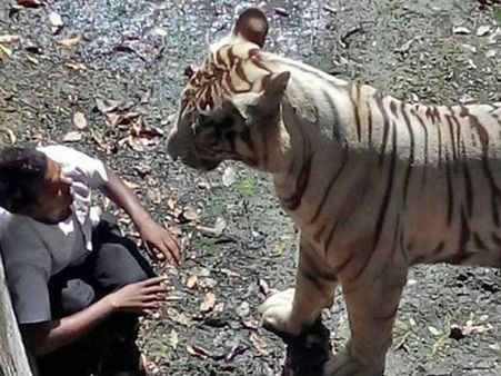 'ఢిల్లీ జూ' తెల్లపులిపై దయ చూపండంటున్న హీరోయిన్