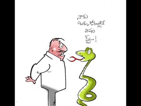 చింతపట్ల క్విక్‌బాక్సింగ్: నేనెవరిని?