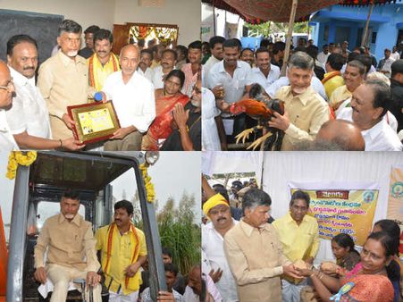 బాబు: వరినాటు యంత్రంతో, కోడిని పట్టుకుని..(పిక్చర్స్)