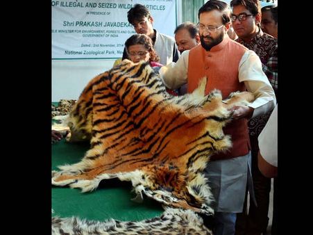 బీజేపీ నేతకు చంపేస్తామంటూ బెదిరింపు ఫోన్ కాల్స్