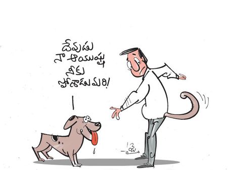 క్విక్‌బాక్సింగ్: కుక్కా కోతీ ఎద్దూ ఎనభై