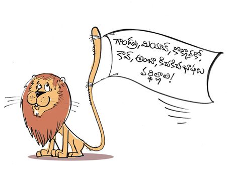 క్విక్‌బాక్సింగ్: ఇంటర్నేషనల్ ఎనిమల్ ఫెస్టివల్