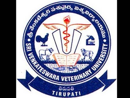 ఎస్వీ వర్సిటీలో అన్యమత ప్రచారం: పెయింటింగ్స్‌పై శిలువ గుర్తు, ప్రిన్సిపల్‌పై ఫైర్