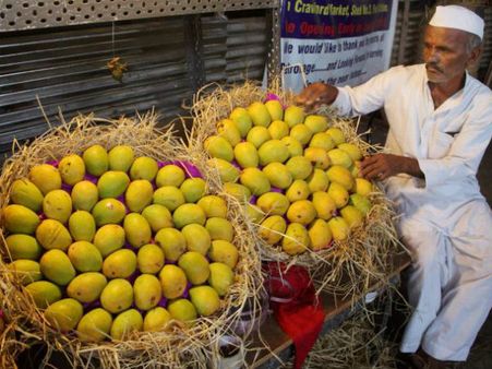 మార్కెట్లోకి 'మోడీ మ్యాంగో' తెచ్చిన ముస్లీం వ్యాపారి, భలే గిరాకీ