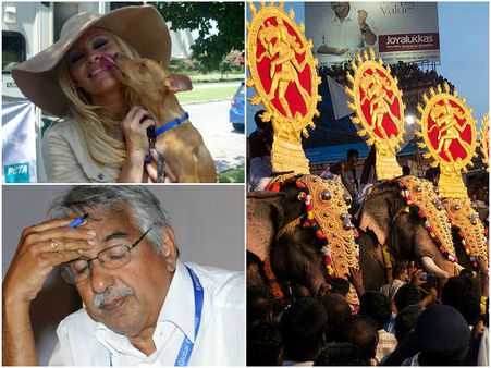 సీఎంకు లేఖ, పమేలా అండర్సన్‌పై ఆగ్రహం: షాకిచ్చిన ఊమెన్