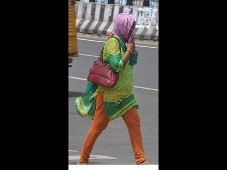 ఒక్కరోజే 225 మంది మృతి: భానుడి భగభగ, జూలో ఇలా (పిక్చర్స్)