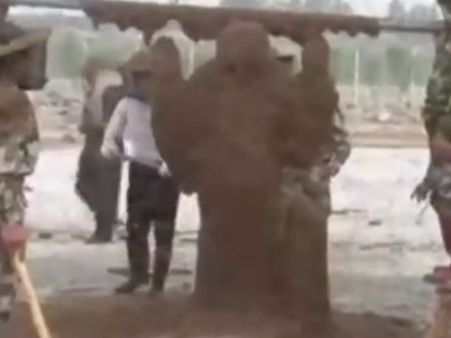 ఒంటి మీద 11 లక్షల తేనెటీగలు: గిన్నీస్ రికార్డు (వీడియో)