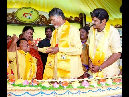 ఎన్టీఆర్ ఘాట్ వద్ద బాబు, హరికృష్ణ, బాలకృష్ణ, జూ. ఎన్టీఆర్ నివాళి