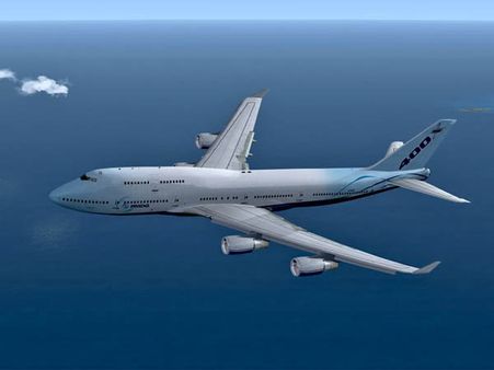 విమానానికి చుక్కలు చూపించిన తేనెటీగ