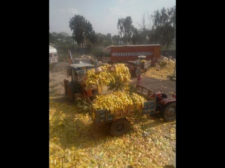 మ్యాగీ నూడుల్స్ మటాష్: కుప్పలు పోశారు