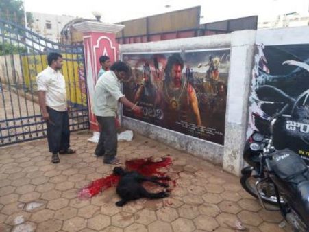 బాహుబలి: మేక బలి, థియేటర్లపై ఫ్యాన్స్ దాడులు, గాయాలు