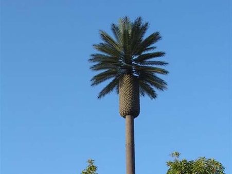 4జి సేవల కోసం మేడ్చల్‌లో ట్రీ టవర్, త్వరలో హైదరాబాదులో...