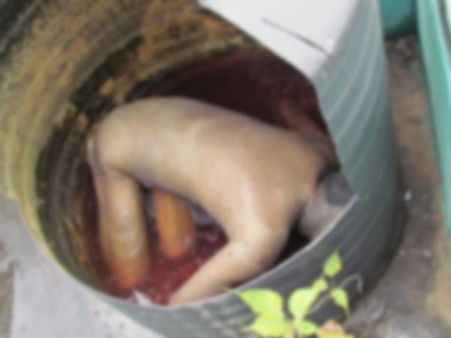 సింటెక్స్ ట్యాంక్‌లో నగ్నంగా యువకుడి మృతదేహం (ఫోటోలు)