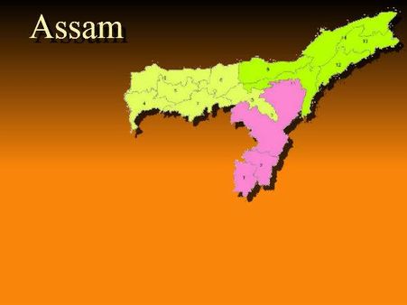 ఛానల్లో షార్ట్స్ ధరించే యువతుల్ని కోతులతో పోల్చారు