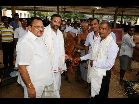 గోశాలకు దూడలను విరాళమిచ్చిన వెంకయ్య తనయుడు (ఫోటోలు)