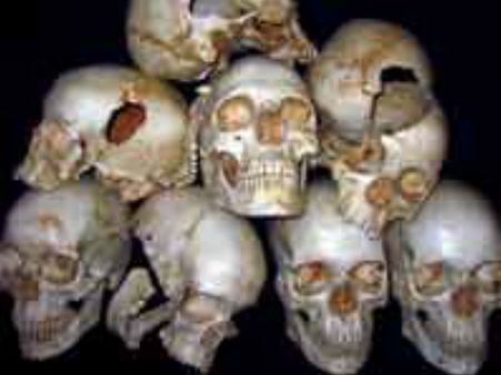 వ్యక్తి ఇంట్లో 27 పుర్రెలు స్వాధీనం: దర్యాప్తు