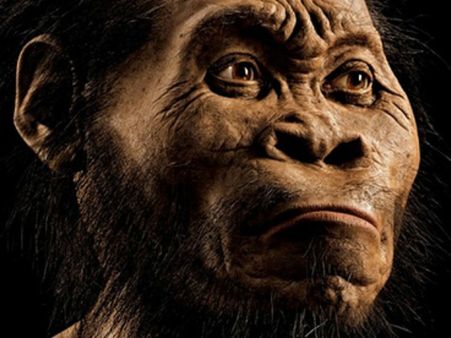 మానవ పూర్వీకుల్లో సరికొత్త జాతి.. హోమో నలేది: కీలక మైలురాయి