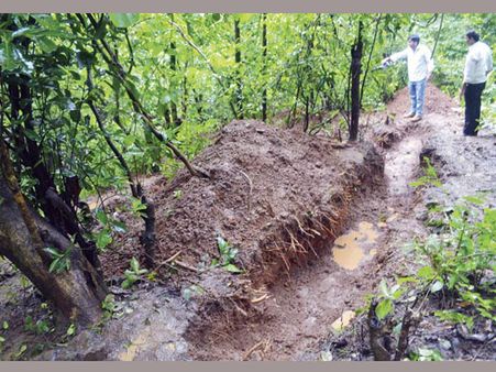 కొత్త ట్విస్ట్: షీనా బోరా ఫోరెన్సిక్ శాంపిళ్లు మిస్..?