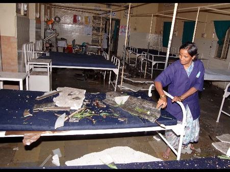 ఫీవర్ ఆస్పత్రి వార్డుపై పడిన భారీ వృక్షం: పరుగుపెట్టిన రోగులు(పిక్చర్స్)