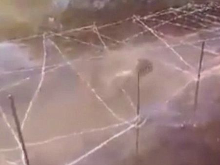 ఐసిస్ వీడియో షాక్: ఏకే47 తూటాలు,ఆరేళ్ల బాలుడు