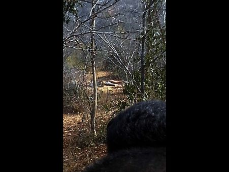 ఎస్ఐ కళ్లల్లో కారం కొట్టి ఎర్రచందనం స్మగ్లర్లు దాడి: రివాల్వర్ తీయడం పరార్