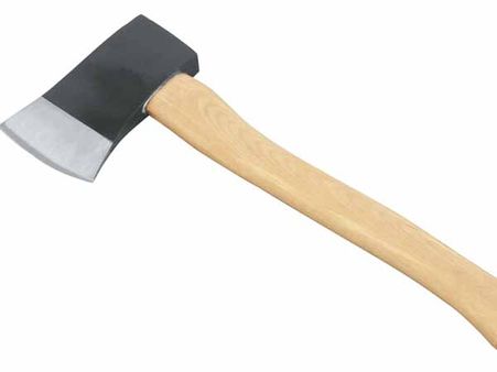 పాలకొల్లు కోర్టు ప్రాంగణంలో భార్యను గొడ్డలితో నరికిన భర్త