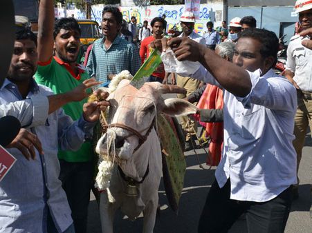 బీఫ్ ఫెస్టివెల్: కోర్టు ఆదేశాలు బేఖాతర్, 12మంది విద్యార్థుల అరెస్ట్, ఎమ్మెల్యేపై కేసు