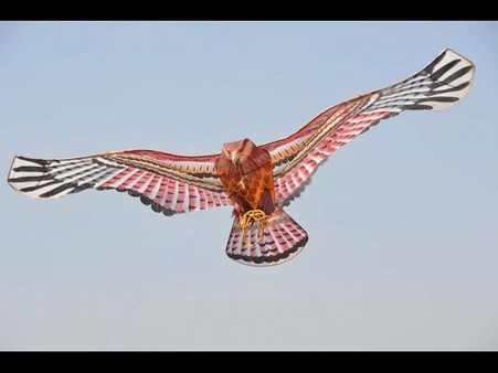 పతంగుల పండుగ: గాలిపటాలివే (ఫోటోలు)