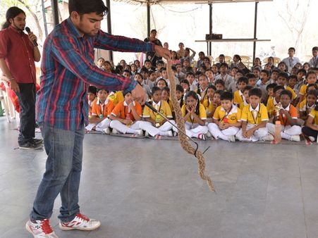 పాములను ఆడించారు: వైజాగ్ జూలో తెల్లపులి సందడి(పిక్చర్స్)