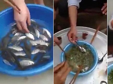 చైనా: బతికున్న చేపలను నమిలి మింగేశారు