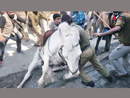 గాయపడ్డ శక్తిమాన్ మృతి: 'ప్రభుత్వ నిర్లక్ష్యం వల్లే'