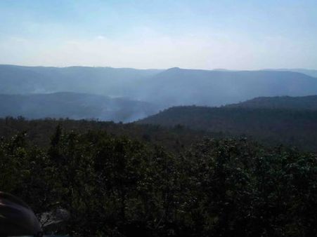 మనకూ ఓ మహాకుడ్యం!: నల్లమలలో 120కి.మీ. రక్షణగోడ