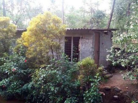 'కేరళ నిర్భయ': దళిత లా విద్యార్ధినిపై రేప్, అసలేం జరిగింది?