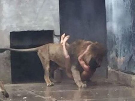 షాక్: సింహాల బోనులో నగ్నంగా దూకాడు(వీడియో)