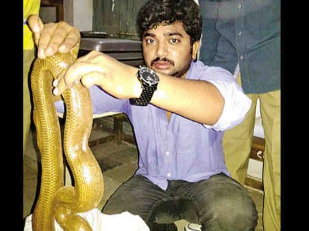 ఆన్‌లైన్‌లో రెండు తలల పాములతో బిజినెస్: ఖమ్మం సాప్ట్‌వేర్ ఉద్యోగి అరెస్ట్