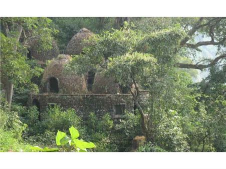 రిషికేశ్‌లో బ్రిటన్ జంటపై అటవీశాఖ సిబ్బంది దాడి