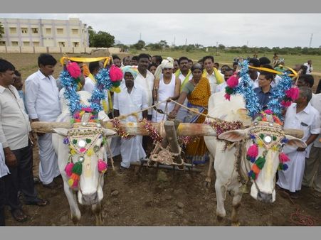 మంత్రి రైతైన వేళ: పంచె కట్టి, రుమాలు చుట్టి పొలం దున్నిన పల్లె(పిక్చర్స్)