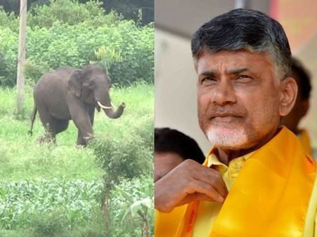 ముగింపు లేదా?: భయం భయంగానే చంద్రబాబు సొంత నియోజకవర్గం