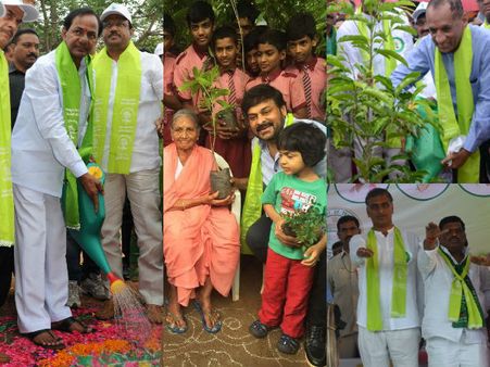 తెలంగాణకు తారలు జై!: చెట్టుకు నీళ్లు పోసిన కేసీఆర్ (పిక్చర్స్)